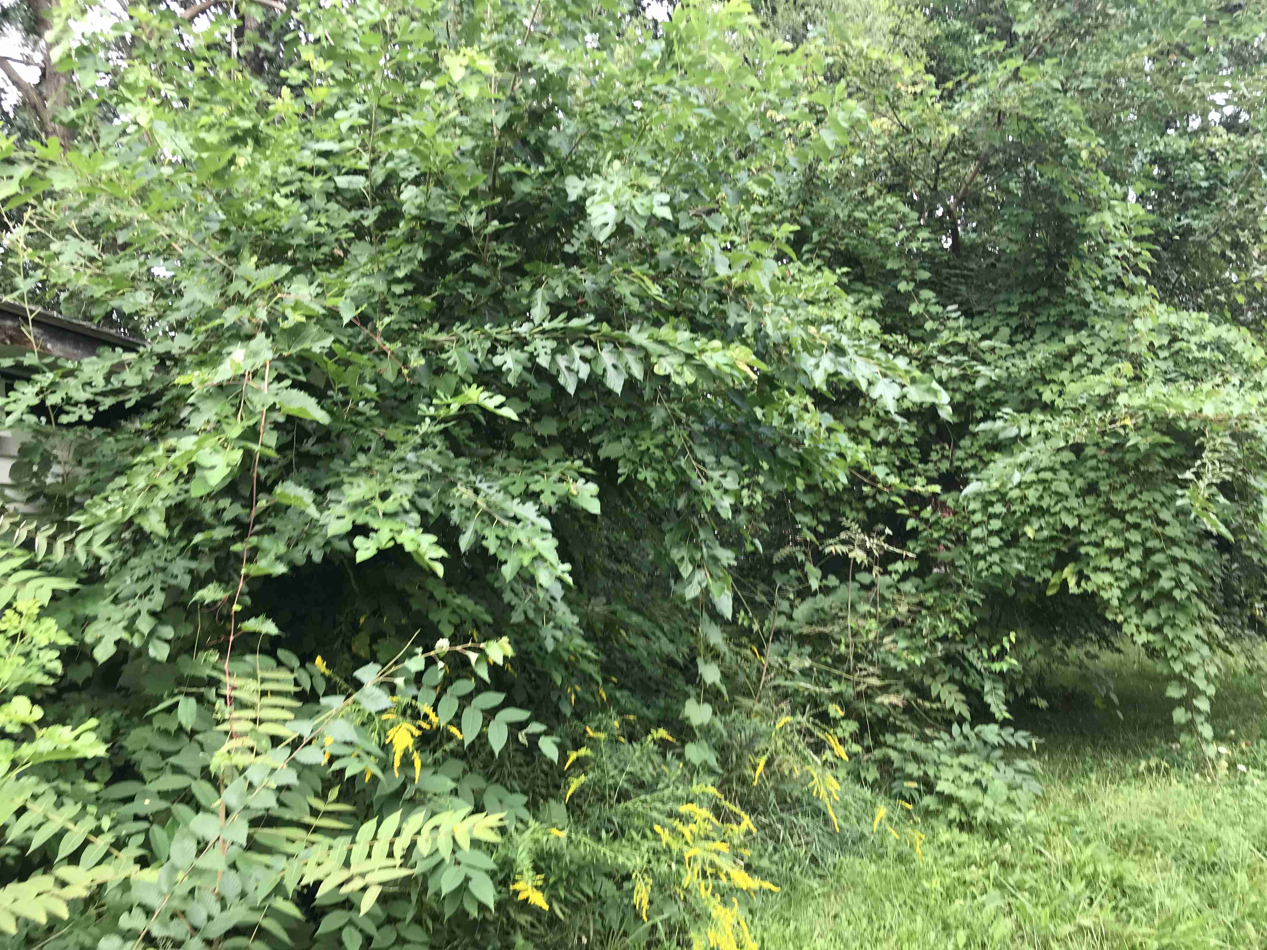 Photo Sep 09, 5 07 50 PM.jpg